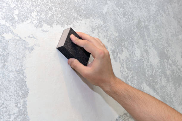 Best Comprehensive Air Testing for Mold Contaminants  in Williamsburg, OH