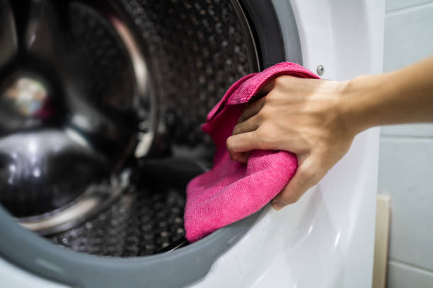 Reliable Williamsburg, OH Mold Removal Solutions