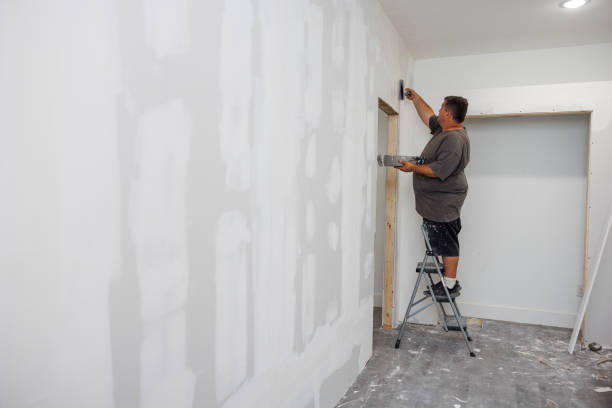 Best Water Damage & Mold Remediation  in Williamsburg, OH