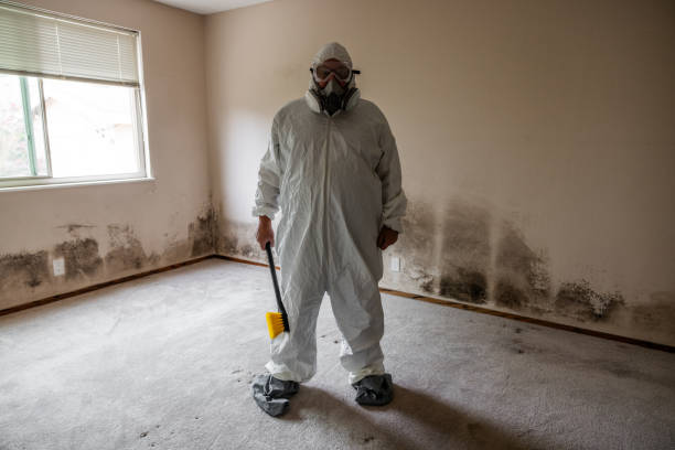Best Commercial Mold Inspection  in Williamsburg, OH